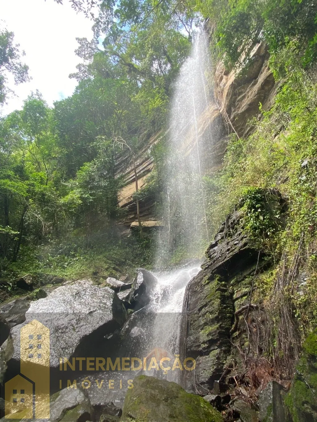 Oportunidade de investimento em um paraíso - Sítio em área privilegiada por recursos naturais, em Benedito Novo - SC — foto 3