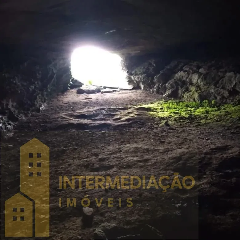 Oportunidade de investimento em um paraíso - Sítio em área privilegiada por recursos naturais, em Benedito Novo - SC — foto 6