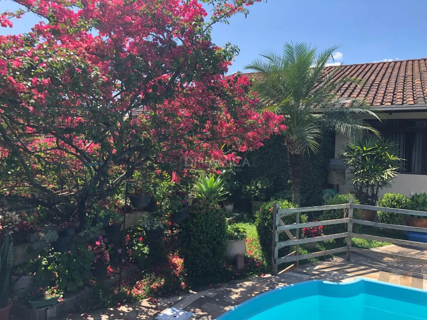Casa semimobiliada com 3 suítes e piscina a venda no bairro Garcia em Blumenau — foto 3