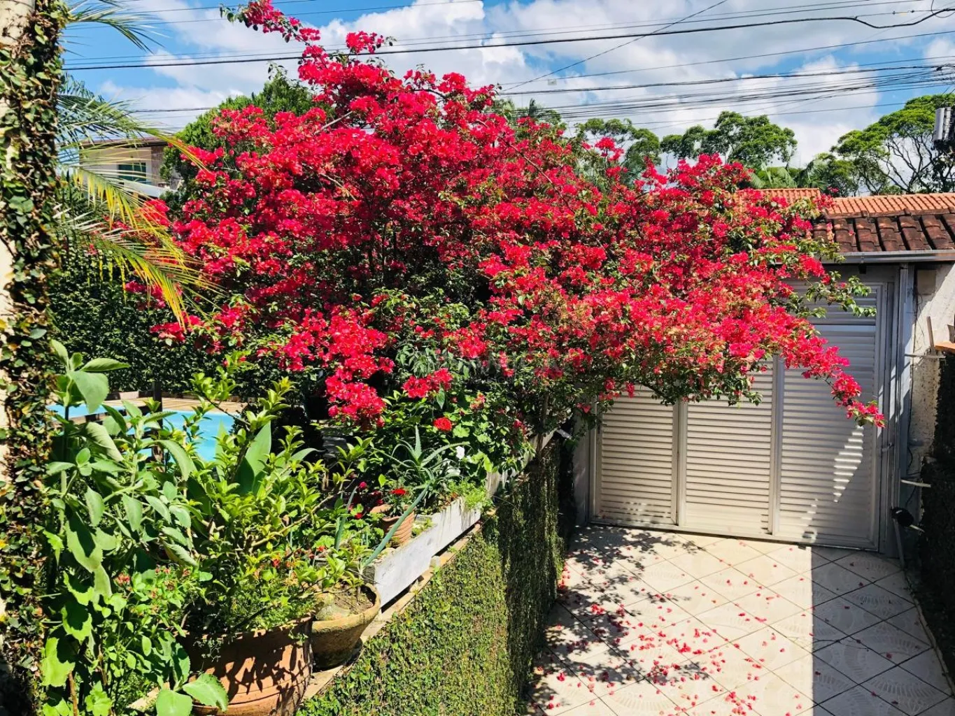 Casa semimobiliada com 3 suítes e piscina a venda no bairro Garcia em Blumenau — foto 4