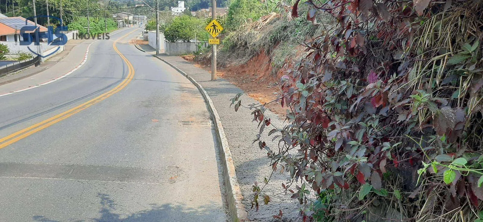 Terreno à venda, 20479 m por R$ 3.200.000,00 - Badenfurt - Blumenau/SC — foto 3