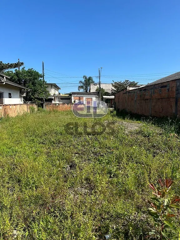 Terreno Paranaguamirim Joinville SC — foto 2