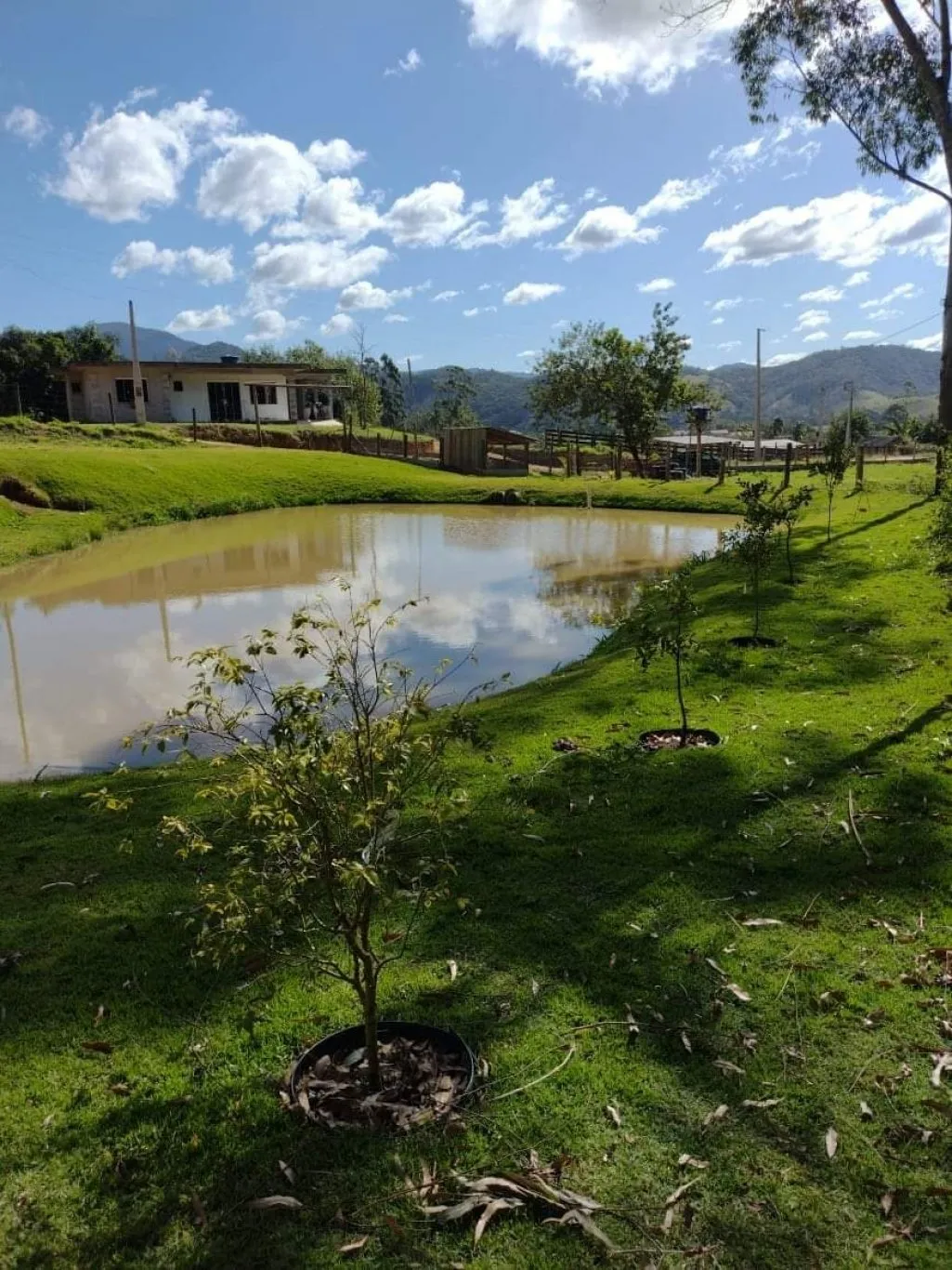 Imóvel - foto 1