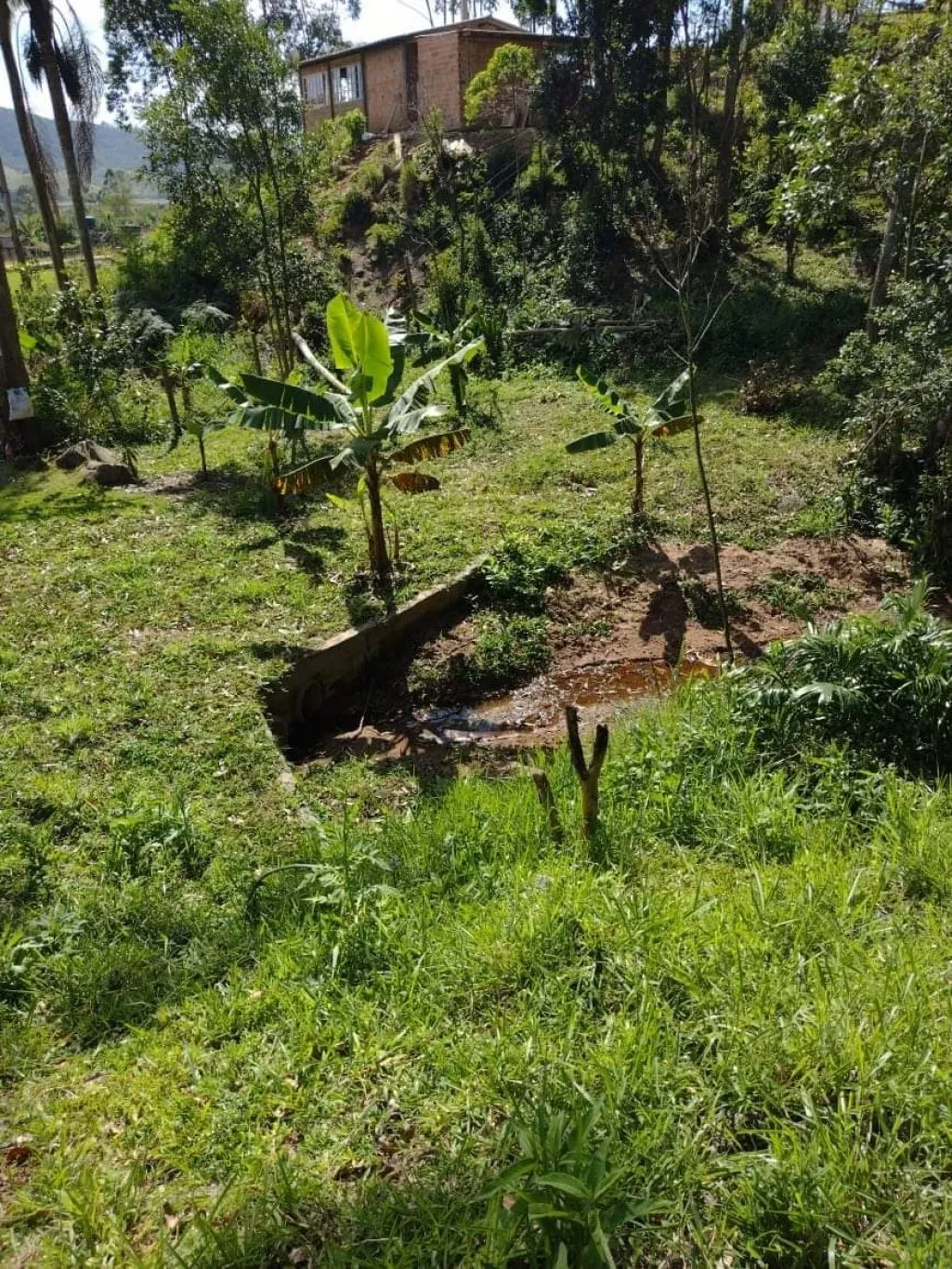 Imóvel — foto 7