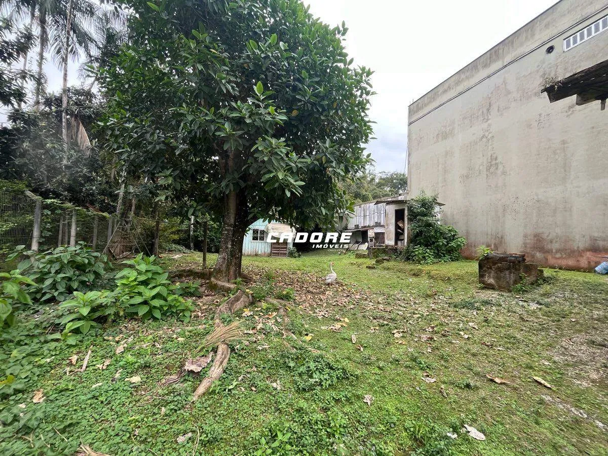 Terreno à venda, 3 quartos, 1 suíte, Garcia - Blumenau/SC — foto 6