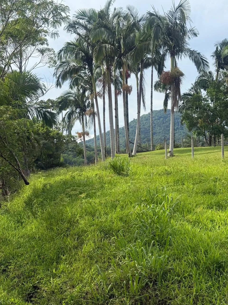 Terreno imperdível em Pomerode Testo Rega - foto 1