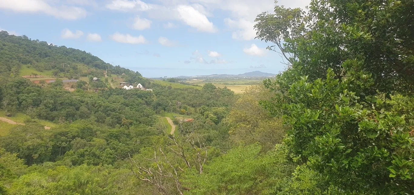 Imóvel — foto 3