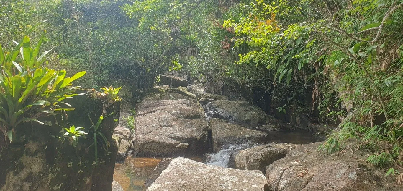 Imóvel — foto 7
