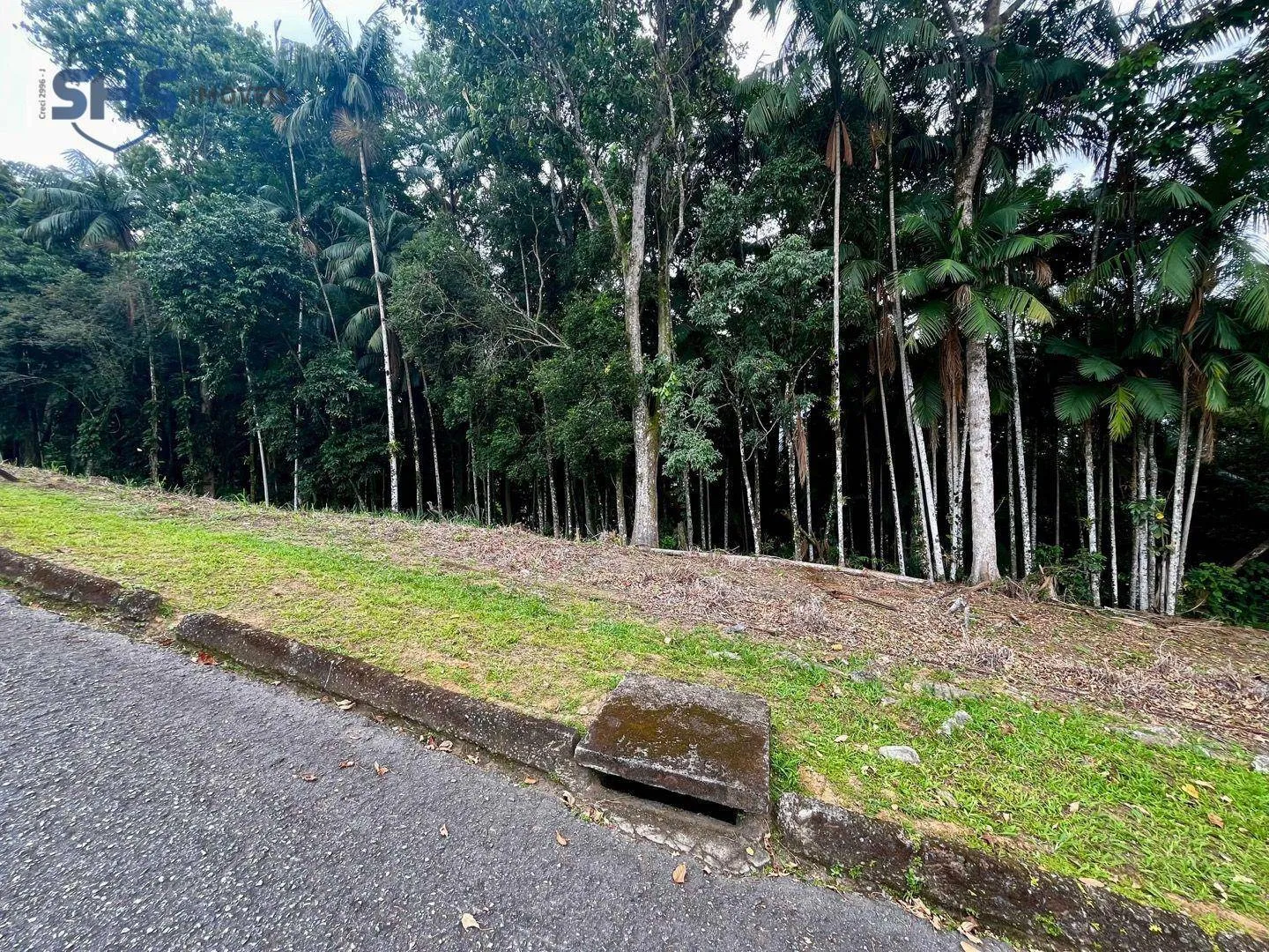 Terreno à venda, 765 m por R$ 500.000,00 - Velha - Blumenau/SC — foto 6
