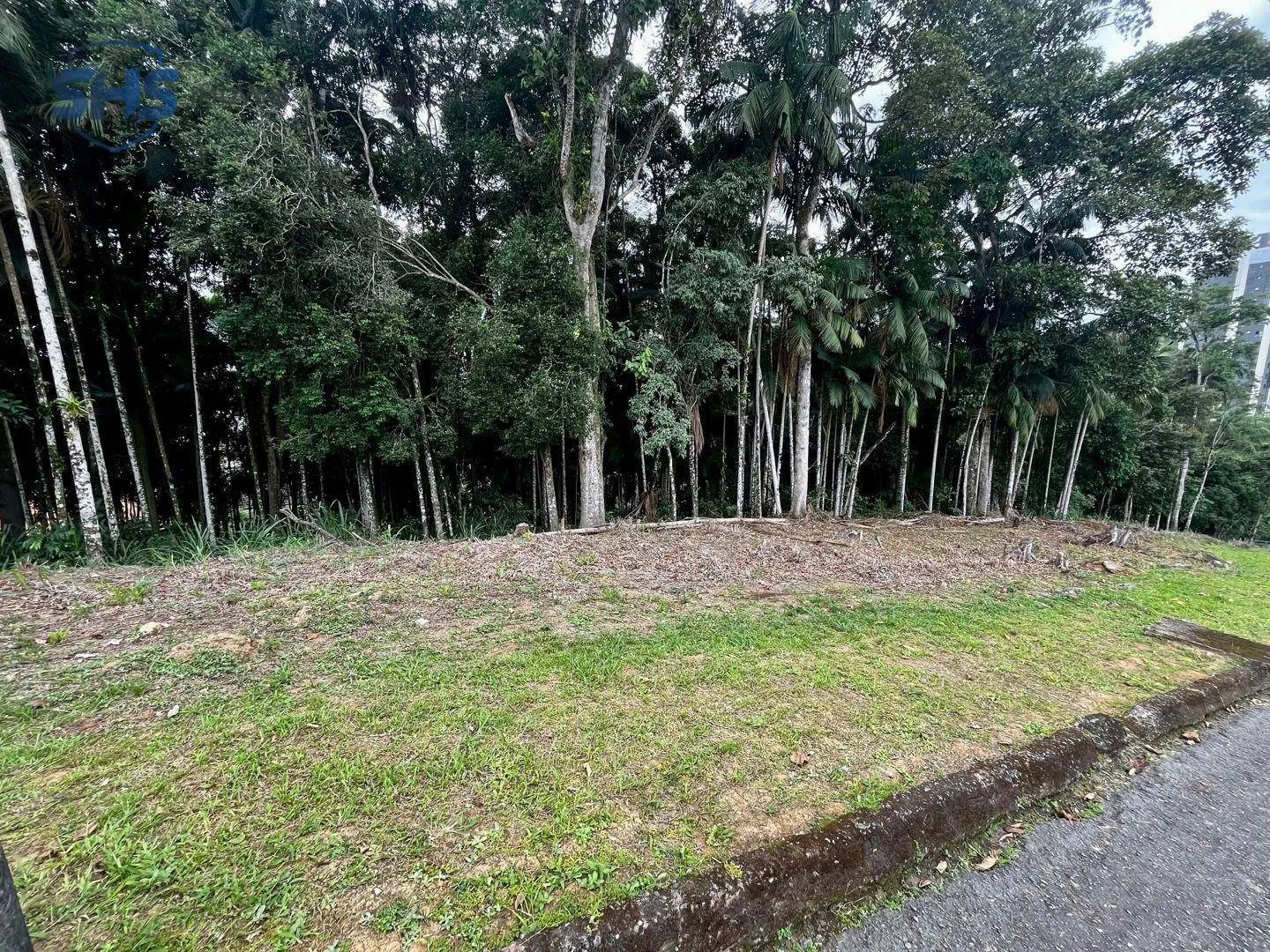 Terreno à venda, 765 m por R$ 500.000,00 - Velha - Blumenau/SC — foto 7