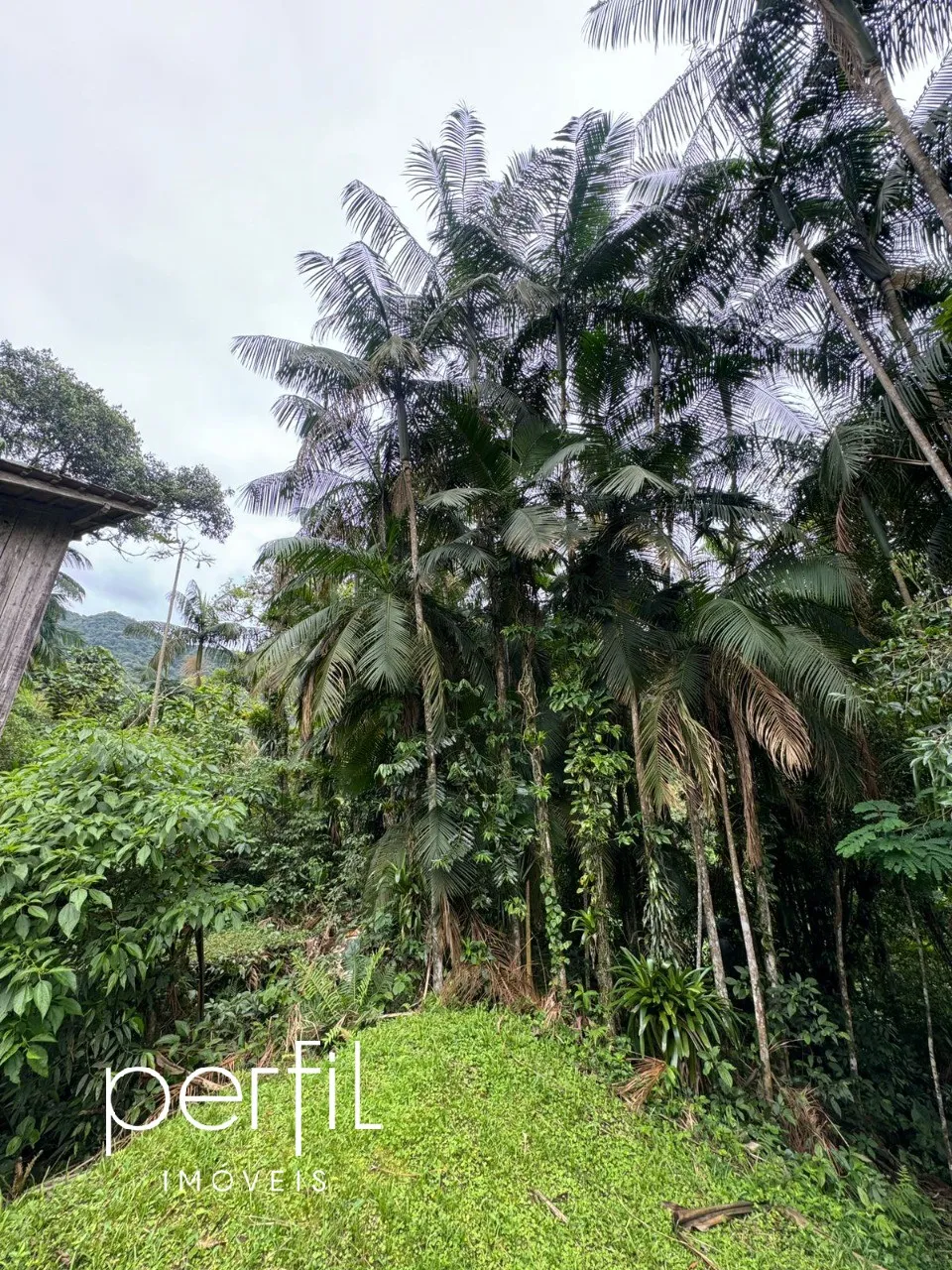 Imóvel Rural à venda com 3 quartos no Pirabeiraba, Joinville — foto 4