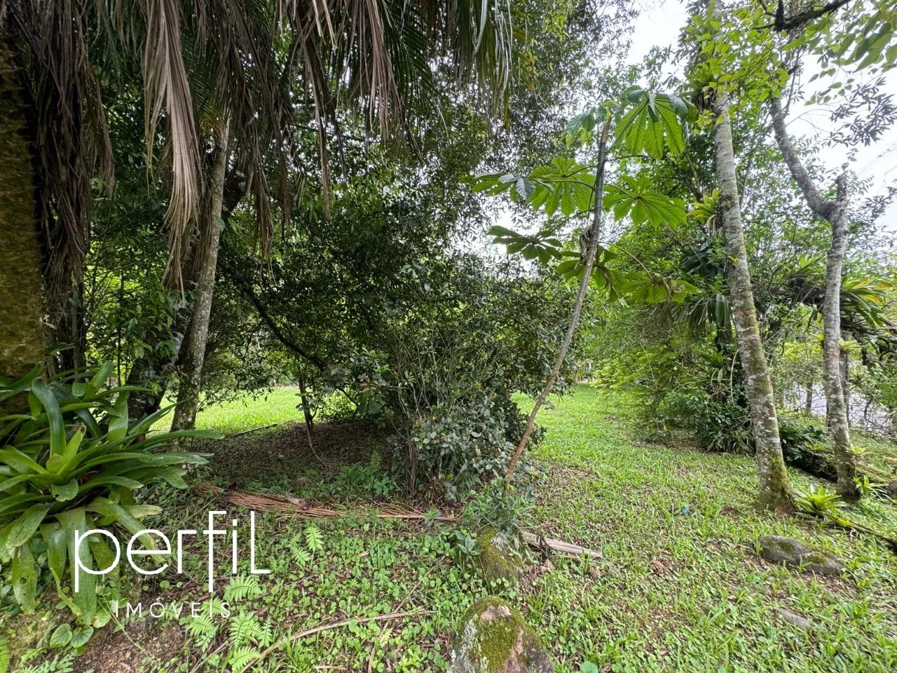 Imóvel Rural à venda com 3 quartos no Pirabeiraba, Joinville — foto 5