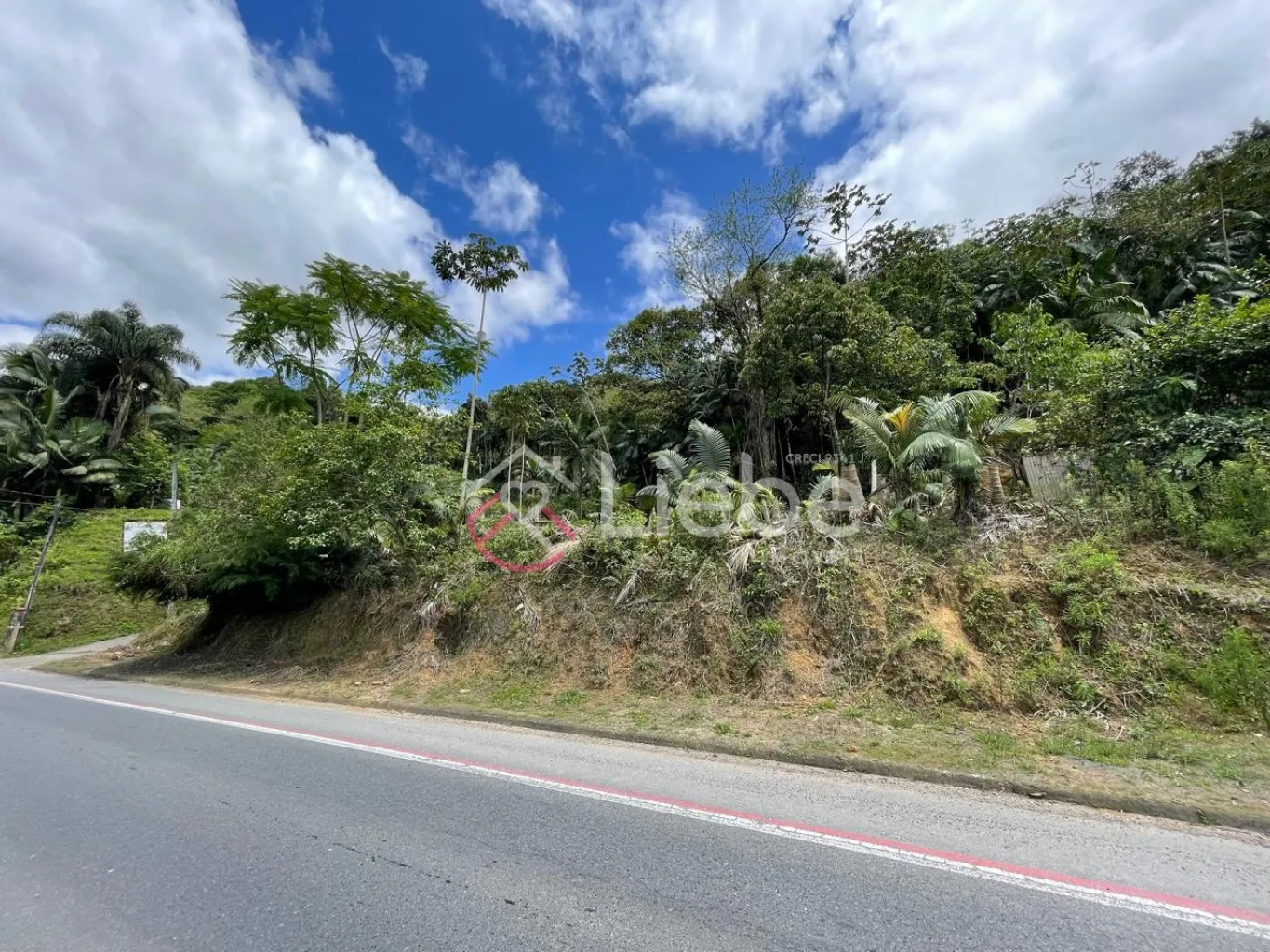 Ótimo terreno no bairro Centro na cidade de Pomerode com 2.000,00m fazendo frente em 40,00 metros. - foto 1