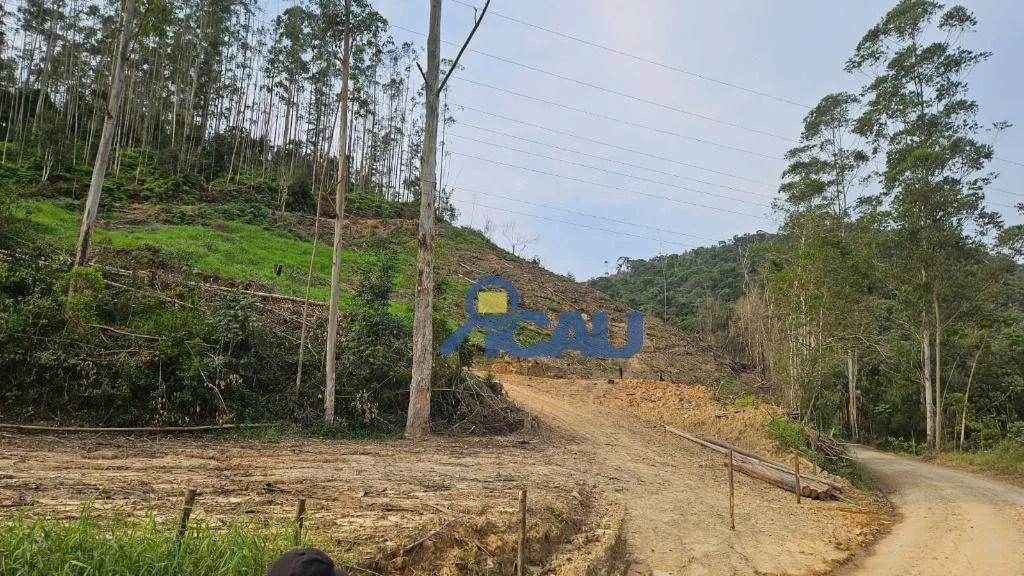 Sítio à venda em Apiúna, há 2 Km da BR 470;, 193898 m por R$ 990.000 - Centro - Apiúna/SC - foto 1