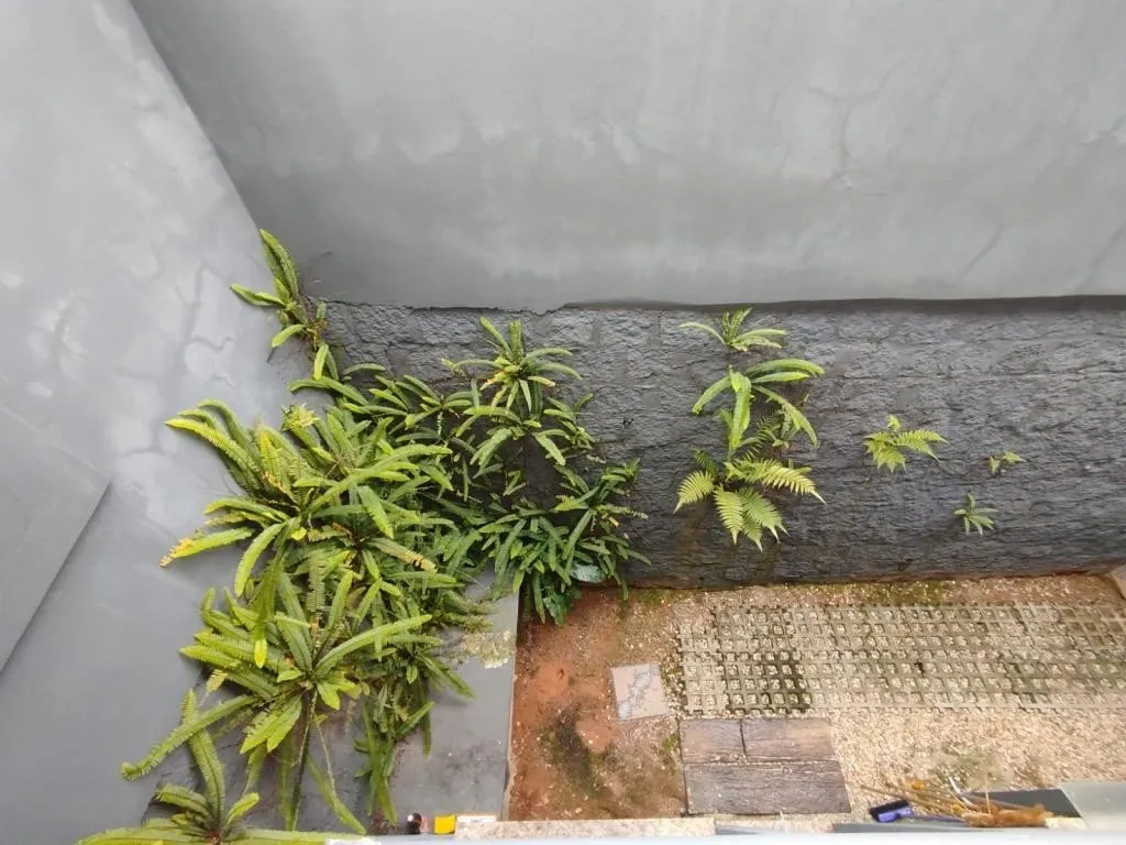 SOBRADO no GLÓRIA com 3 quartos para VENDA, 260 m — foto 5