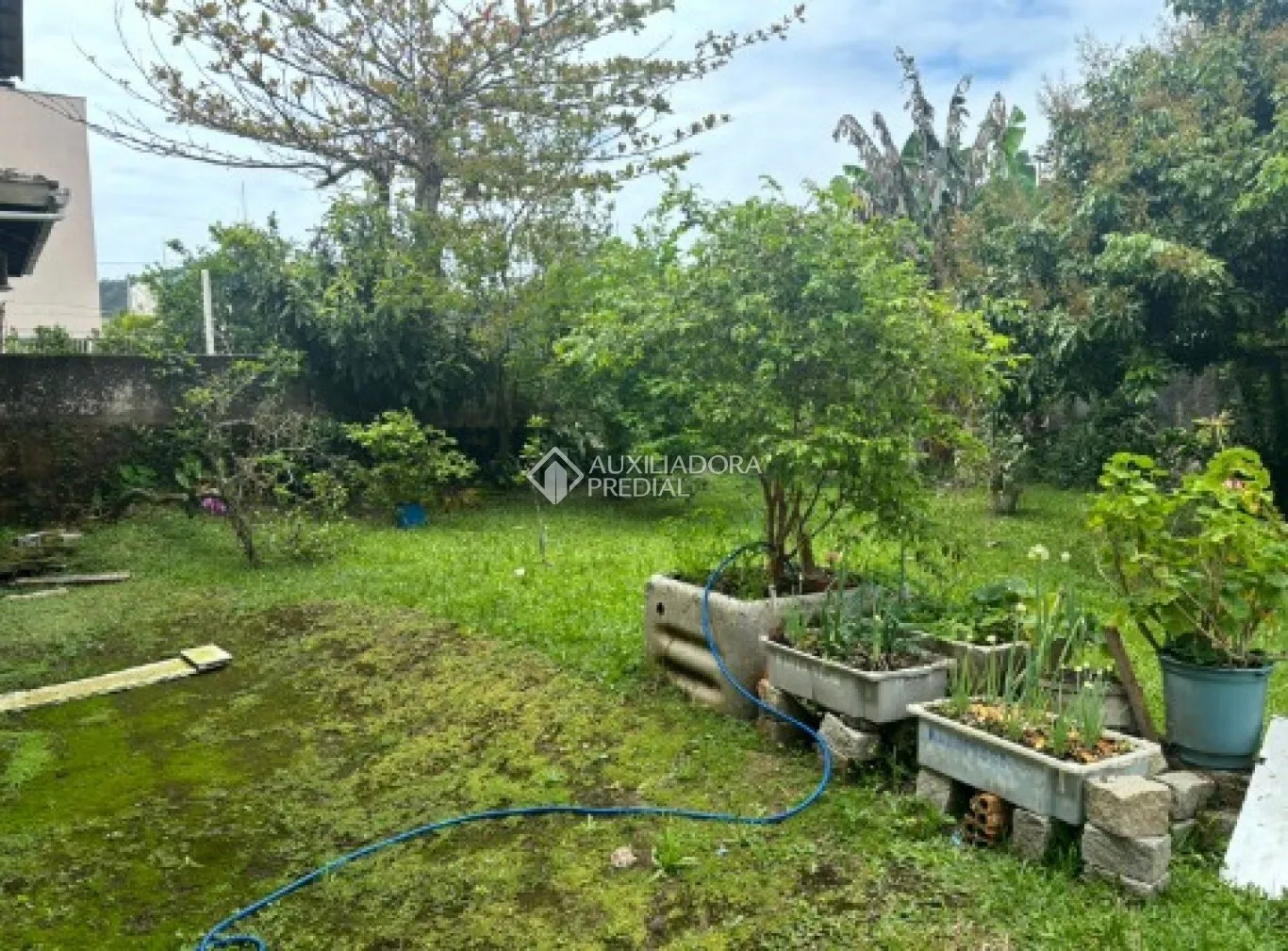 Imóvel — foto 4