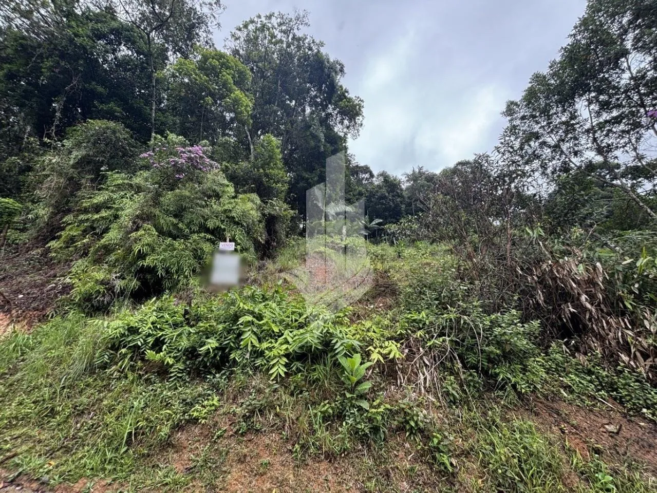 Terreno nas mediações do bairro Garcia - 561m — foto 3