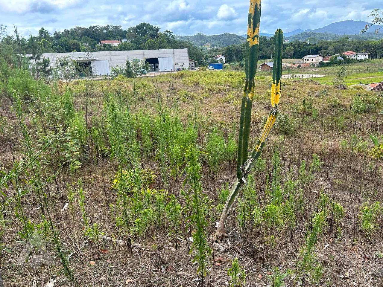 Terreno residencial em Gaspar. — foto 2