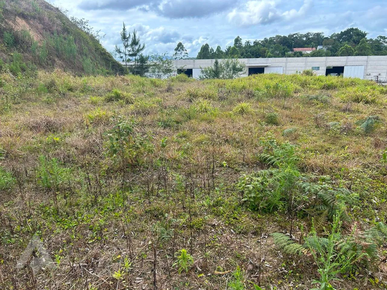 Terreno residencial em Gaspar. — foto 3