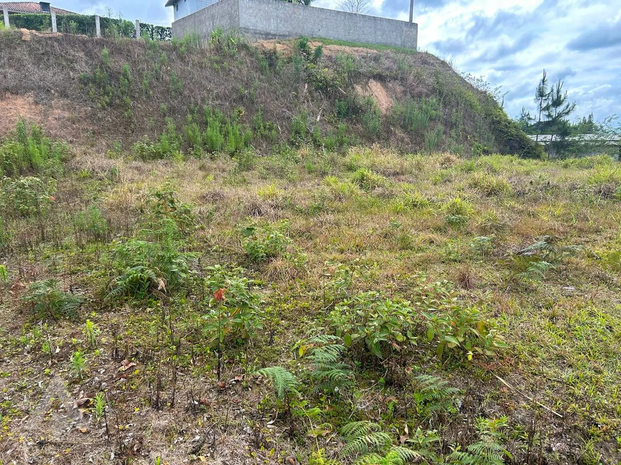 Terreno residencial em Gaspar. — foto 4