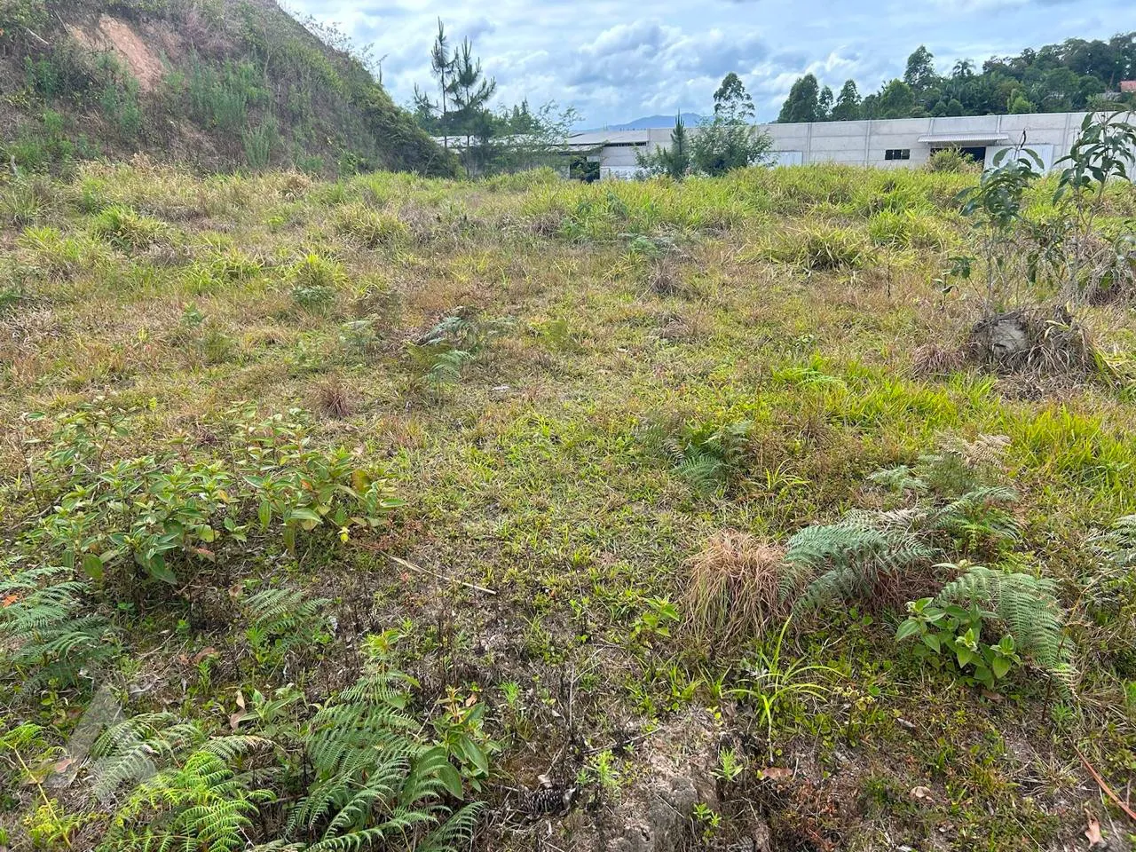 Terreno residencial em Gaspar. — foto 5
