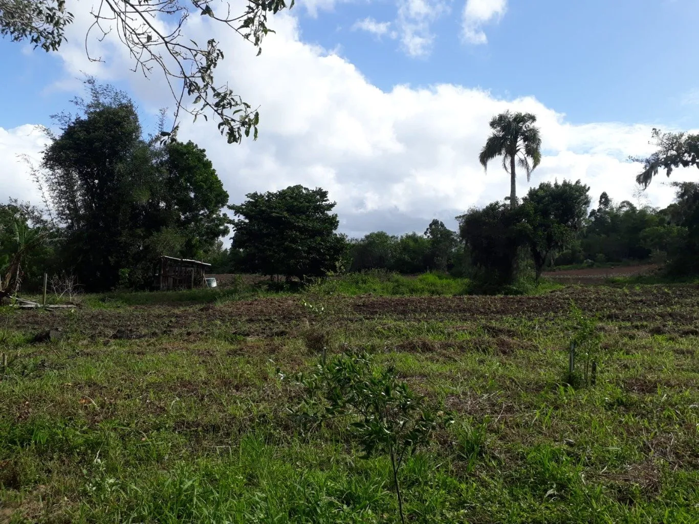 Imóvel — foto 4