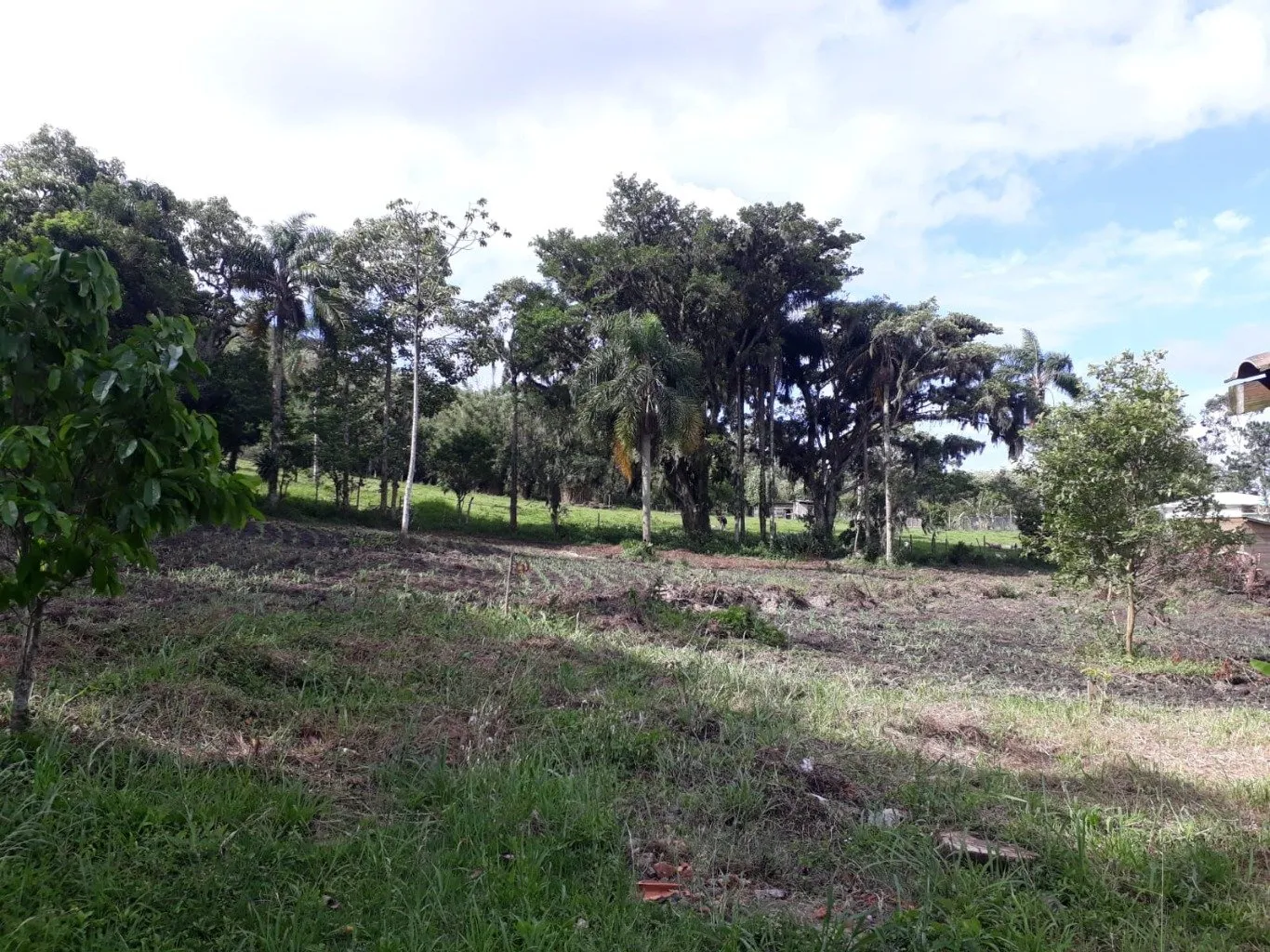 Imóvel — foto 5
