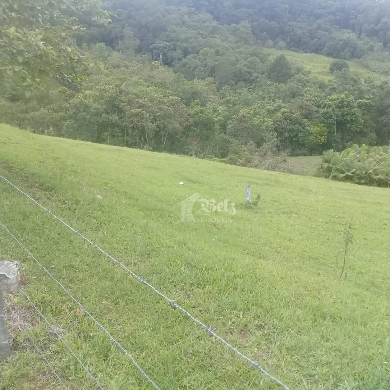 Vende-se Terreno em Testo Alto na entrada da Rota Enxaimel — foto 6