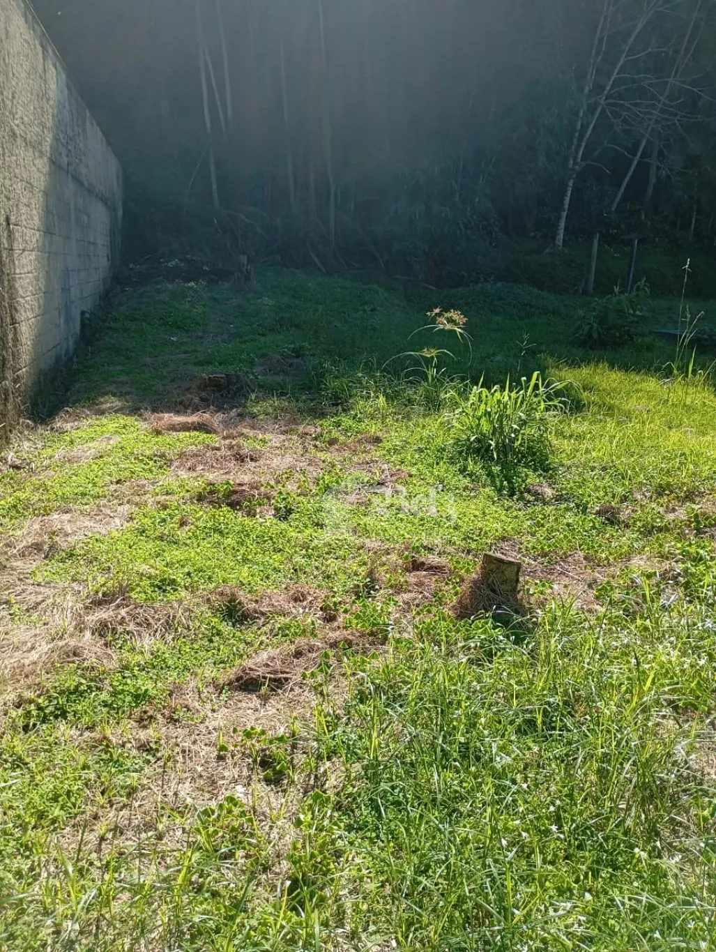 Vende-se Terreno no Centro  - Pomerode - SC — foto 5