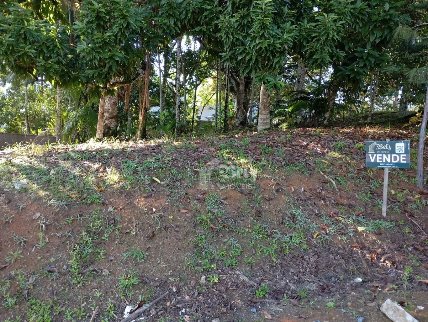 Vende-se Terreno no Centro de Pomerode - foto 1