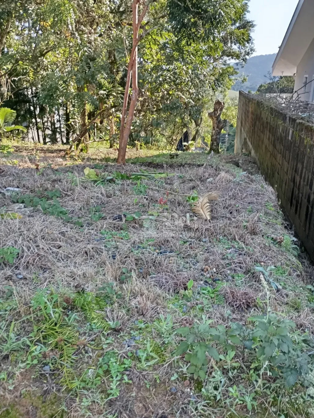 Vende-se Terreno no Centro de Pomerode — foto 3