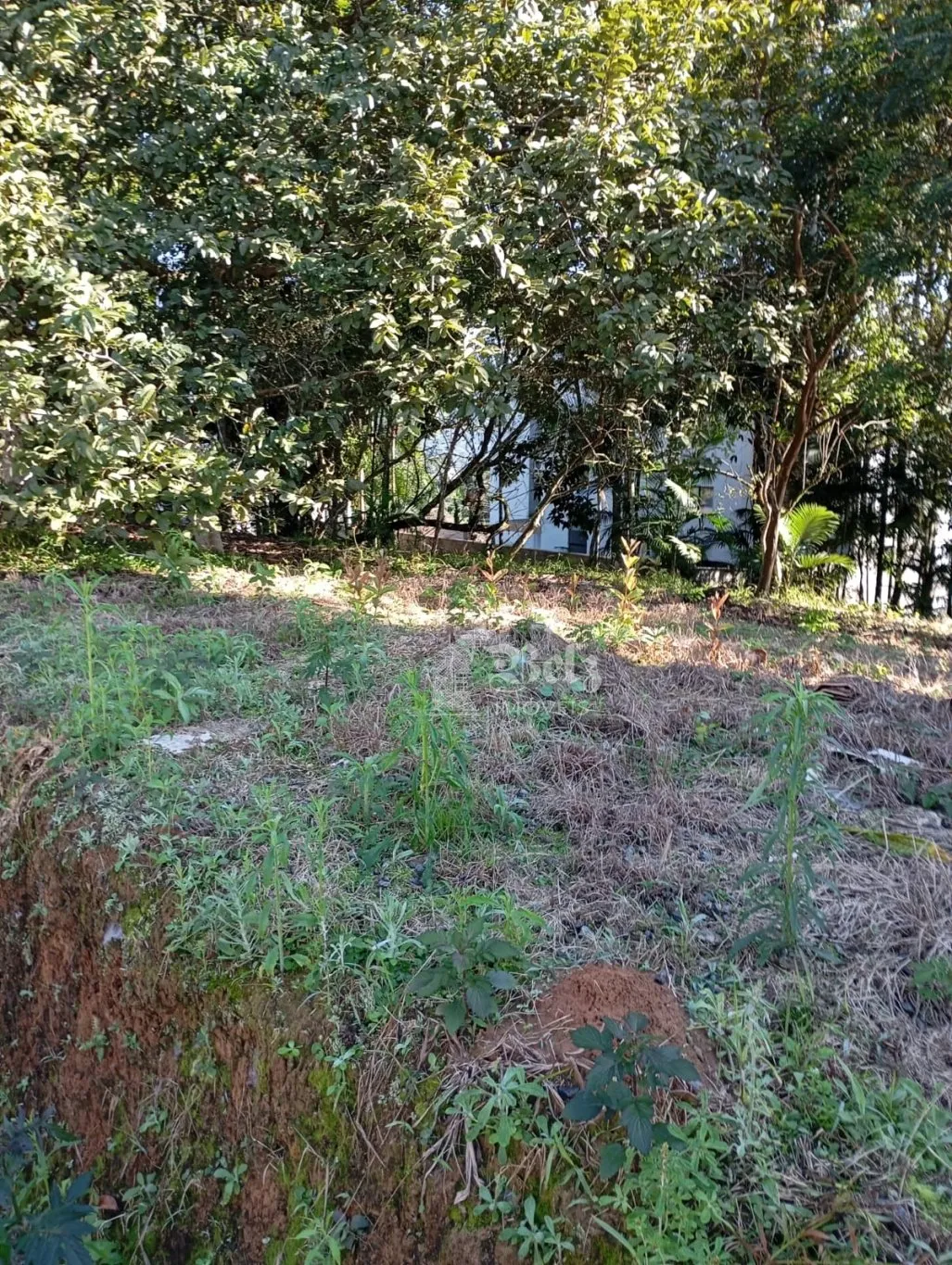 Vende-se Terreno no Centro de Pomerode — foto 4