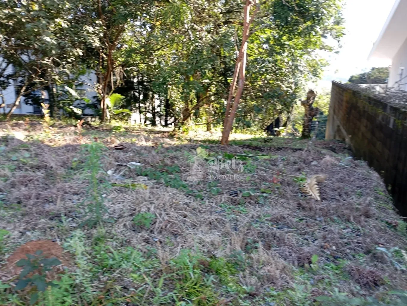 Vende-se Terreno no Centro de Pomerode — foto 5