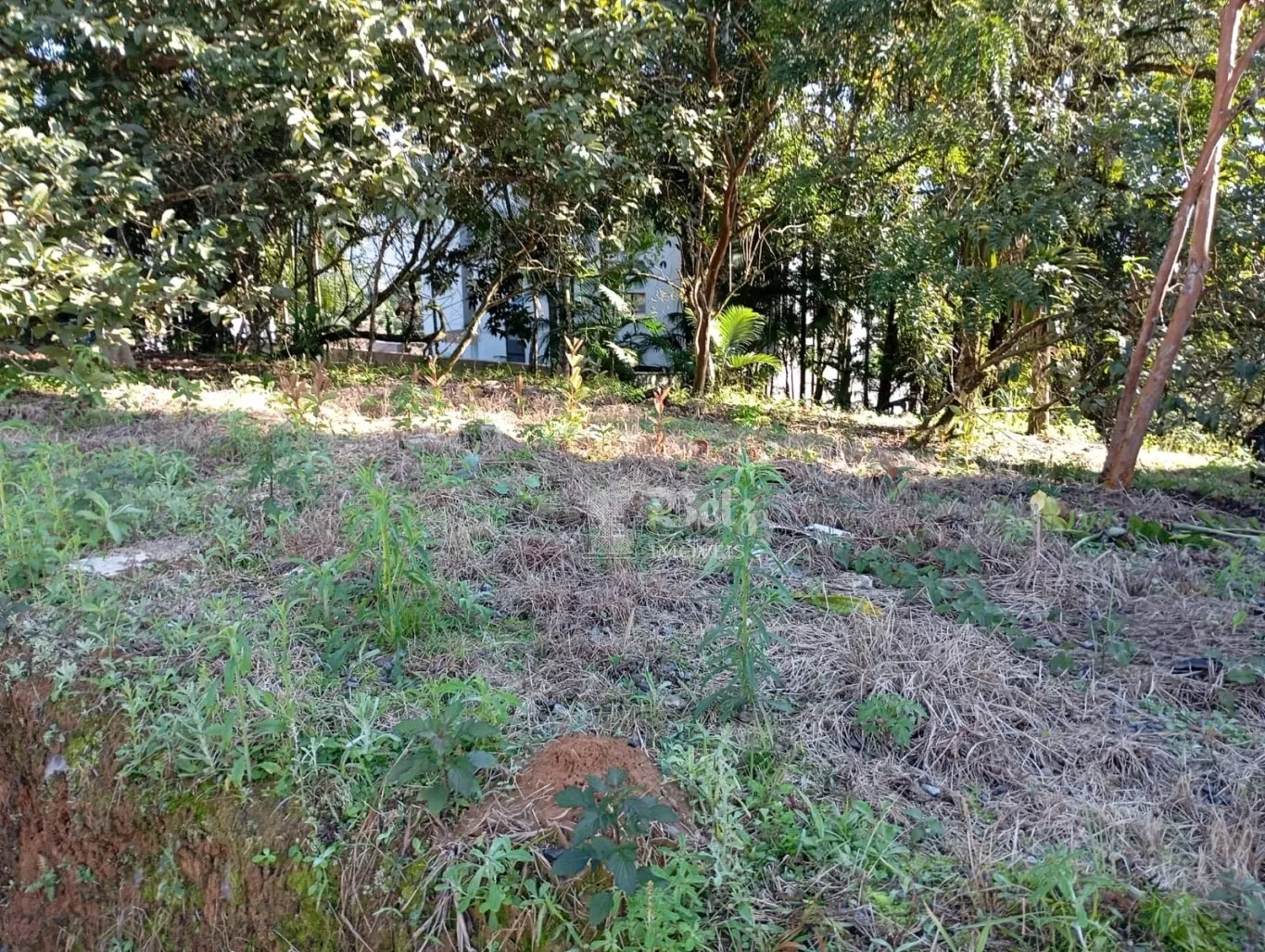 Vende-se Terreno no Centro de Pomerode — foto 6