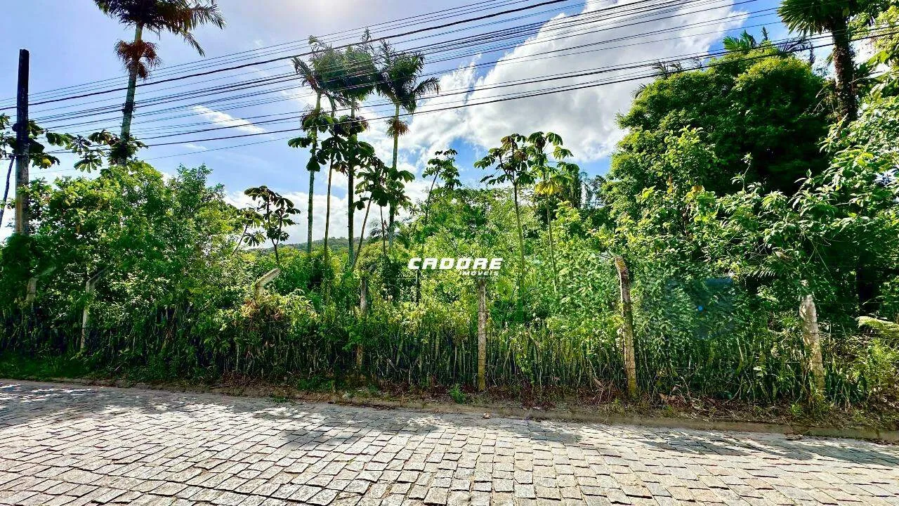 Amplo terreno , plano com excelente localização - Bairro Figueira - Gaspar - foto 1