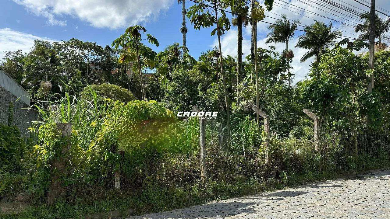 Amplo terreno , plano com excelente localização - Bairro Figueira - Gaspar — foto 2