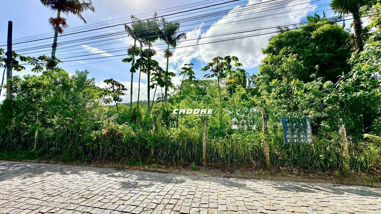 Amplo terreno , plano com excelente localização - Bairro Figueira - Gaspar — foto 3