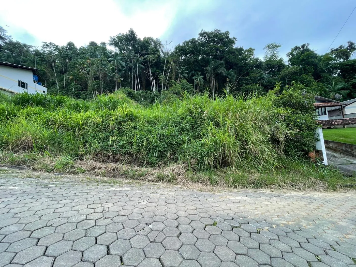 Terreno para Venda em Blumenau, Itoupavazinha - foto 1