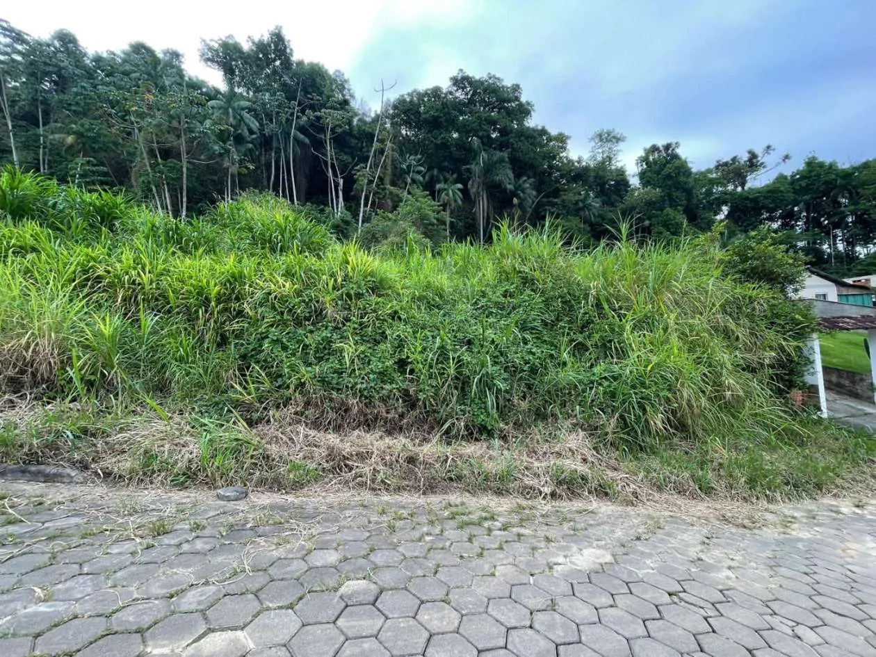 Terreno para Venda em Blumenau, Itoupavazinha — foto 2