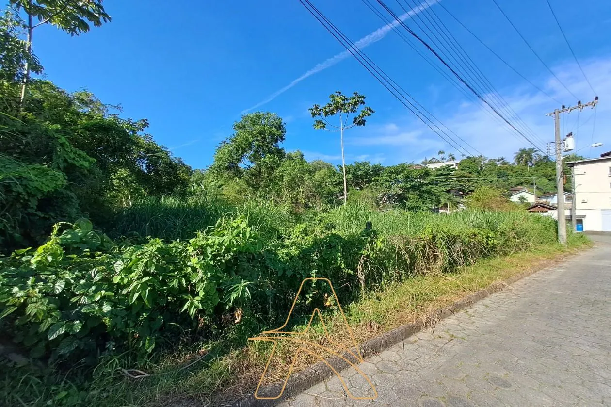 Terreno Plano de 7.891,83 m na Itoupava Norte Próximo ao Madrugadão Lanches - foto 1