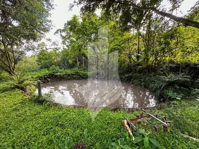 Chácara com cachoeira em Indaial - SC — foto 6