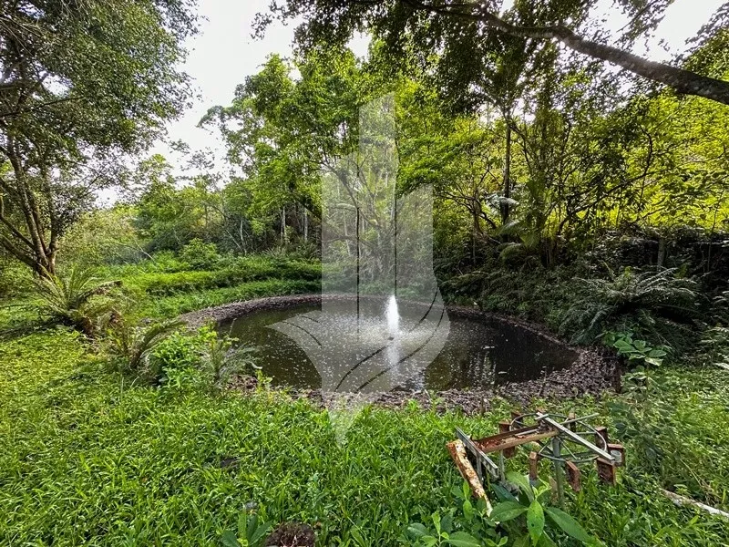 Chácara com cachoeira em Indaial - SC — foto 7