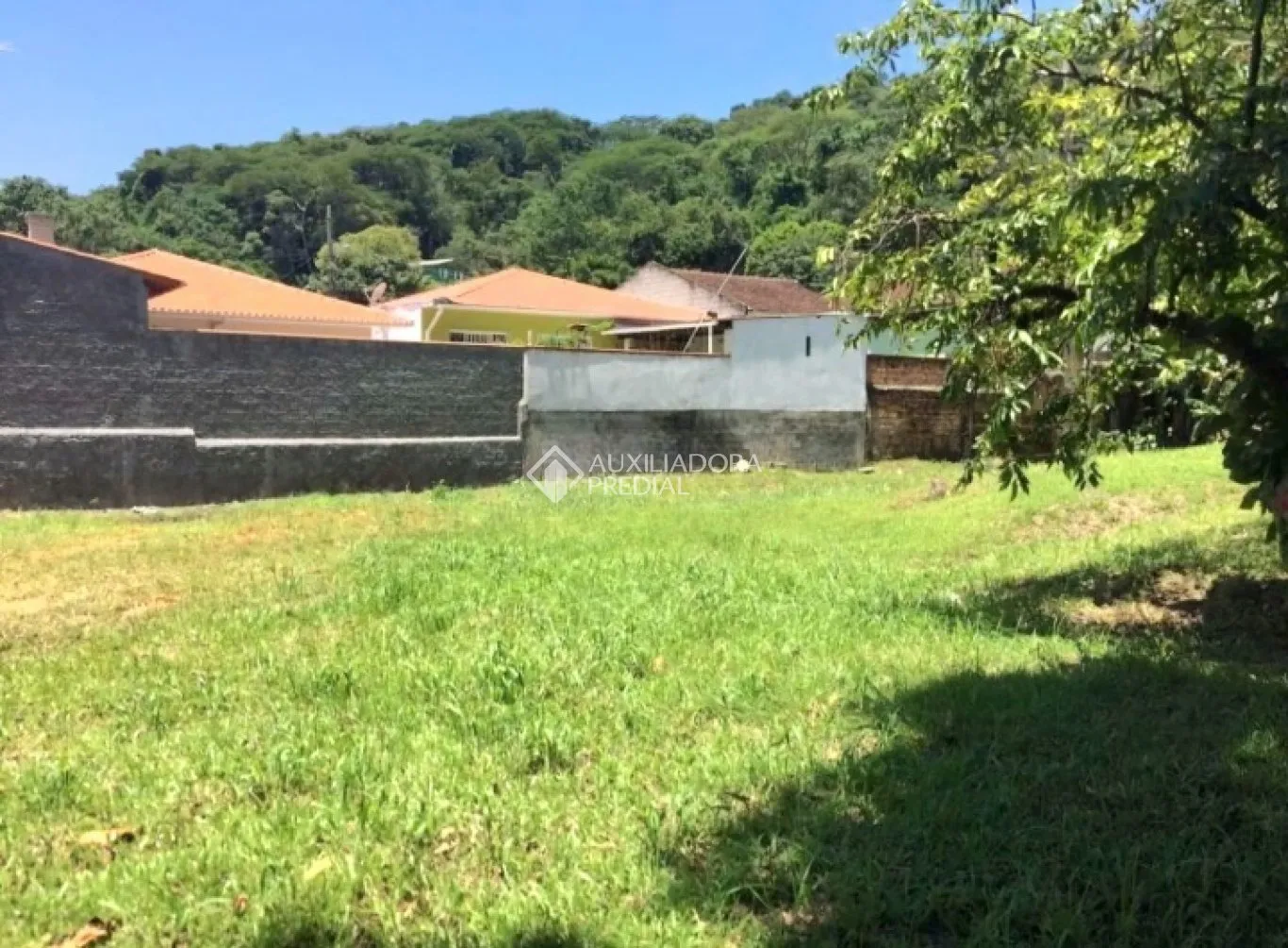 Imóvel — foto 7