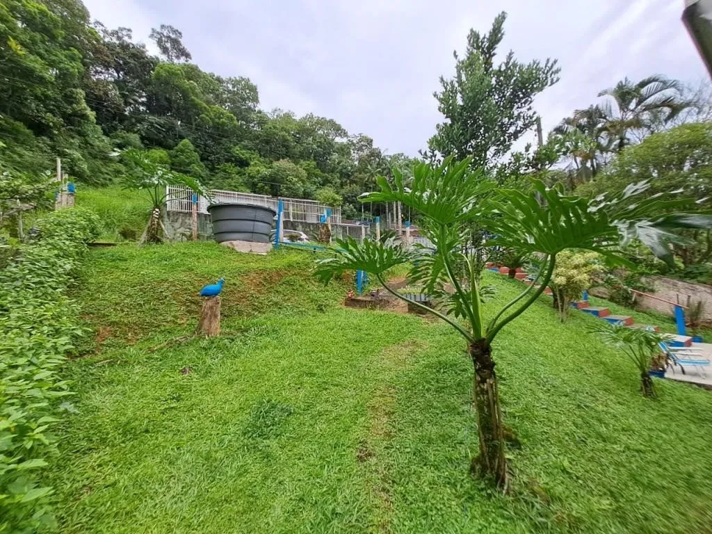 TERRENO no NOVA BRASÍLIA com 0 quartos para VENDA, 428 m — foto 4