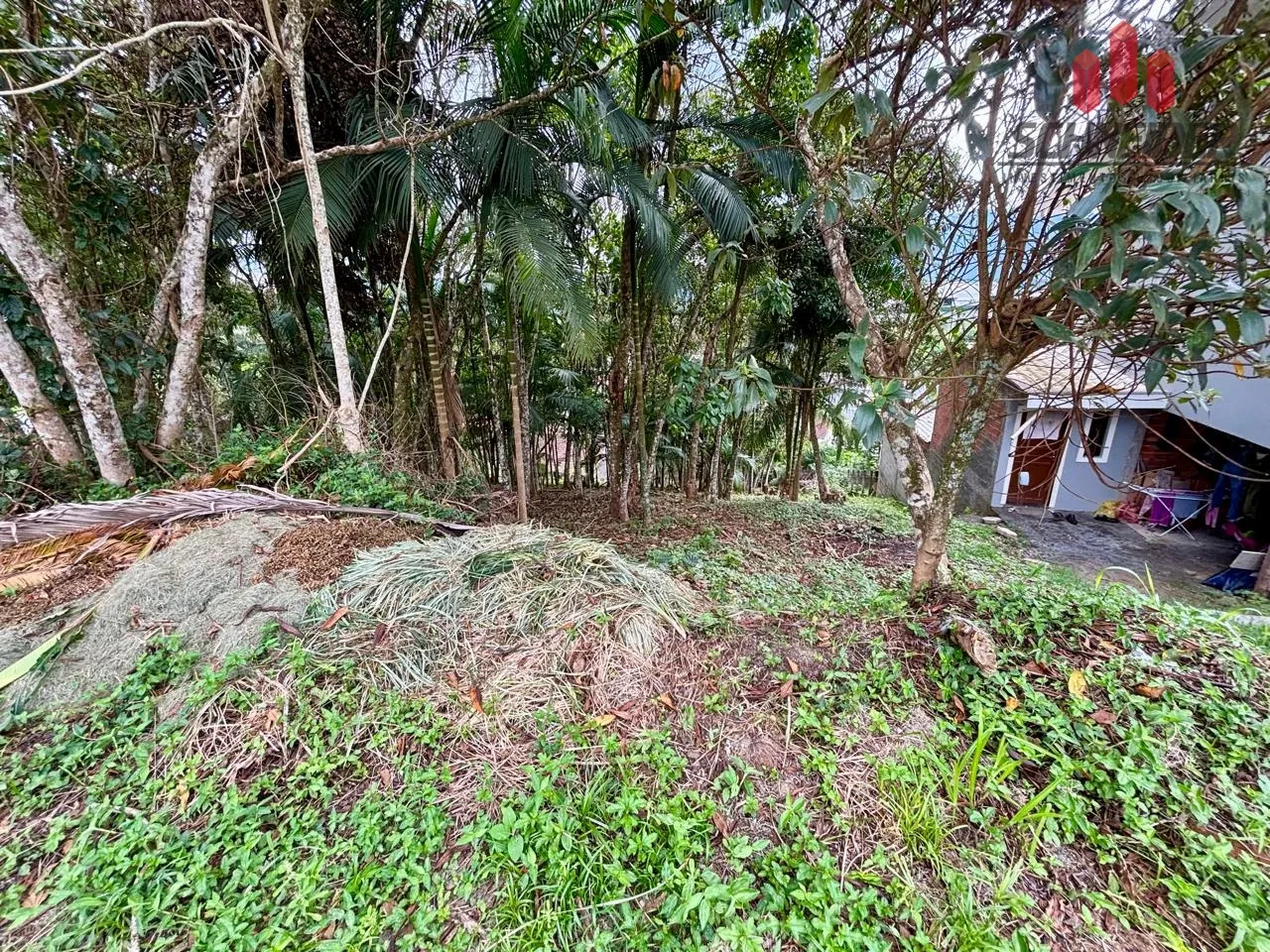 Terreno à venda no bairro Quintino em Timbó/SC — foto 4