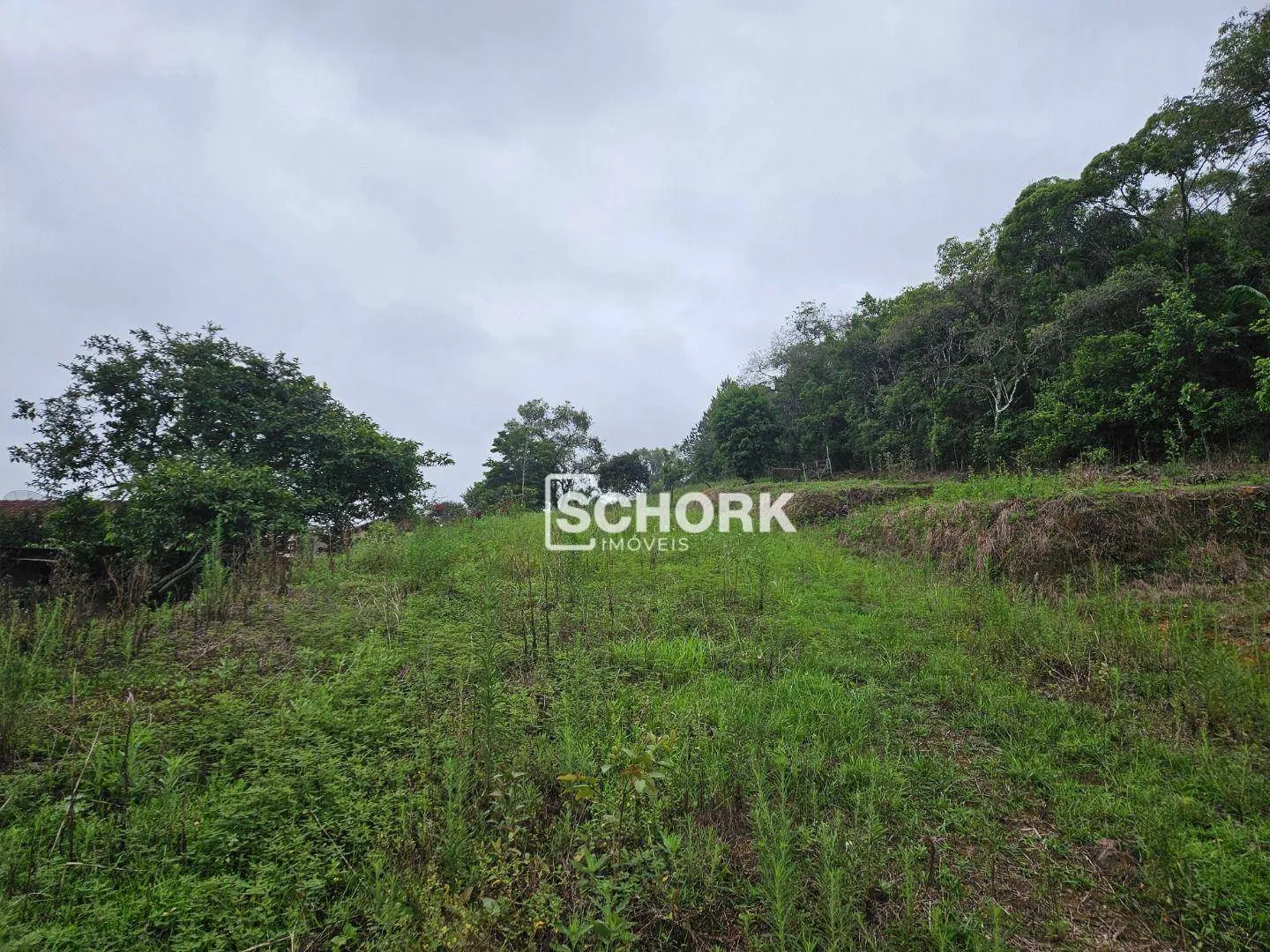 Terreno à venda, 5655 m por R$ 1.460.000,00 - Rio Morto - Indaial/SC — foto 5