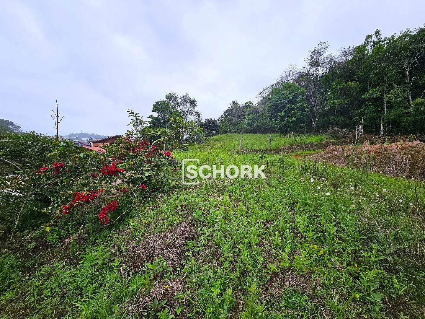 Terreno à venda, 5655 m por R$ 1.460.000,00 - Rio Morto - Indaial/SC — foto 4