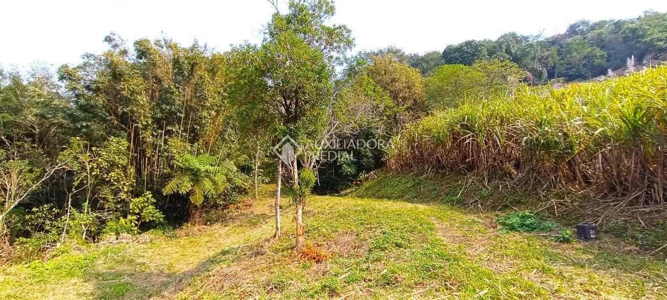 Imóvel — foto 3