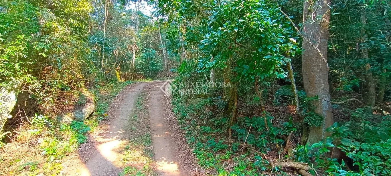 Imóvel — foto 6