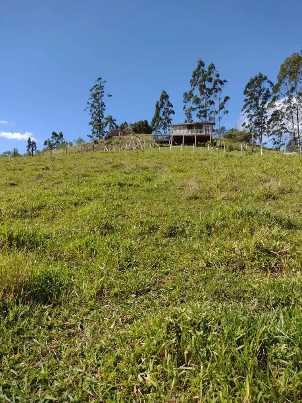 Imóvel - foto 1